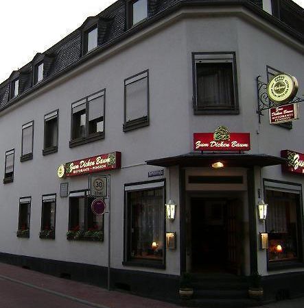 Hotel Zum Dicken Baum Mayen Εξωτερικό φωτογραφία