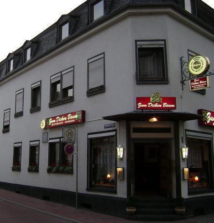 Hotel Zum Dicken Baum Mayen Εξωτερικό φωτογραφία